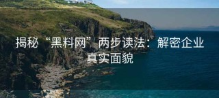 揭秘“黑料网”两步读法：解密企业真实面貌