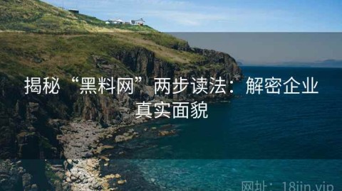 揭秘“黑料网”两步读法：解密企业真实面貌