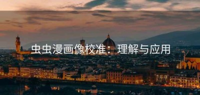 虫虫漫画像校准：理解与应用