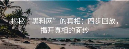 揭秘“黑料网”的真相：四步回放，揭开真相的面纱