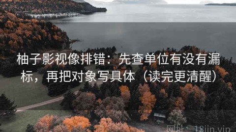 柚子影视像排错：先查单位有没有漏标，再把对象写具体（读完更清醒）