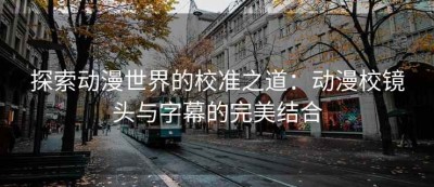 探索动漫世界的校准之道：动漫校镜头与字幕的完美结合