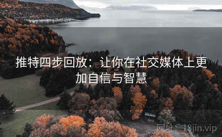 推特四步回放：让你在社交媒体上更加自信与智慧